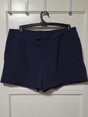 🤩 Bundle A New Day Shorts